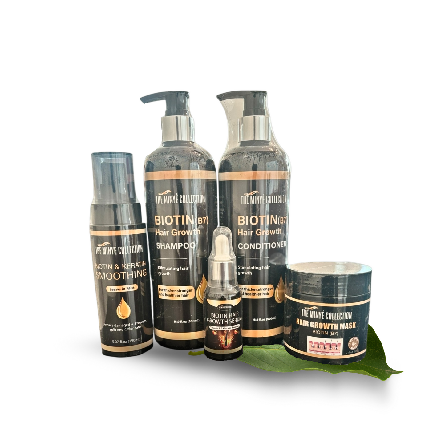 THE BIOTIN SYSTEM